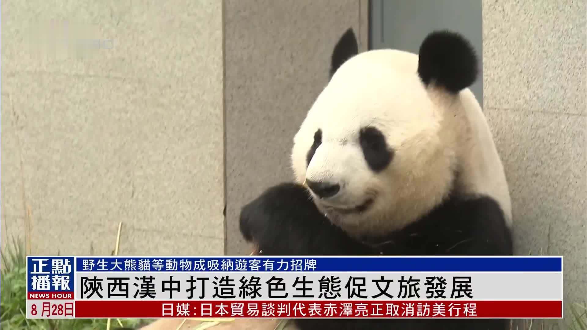 陕西汉中打造绿色生态促文旅发展