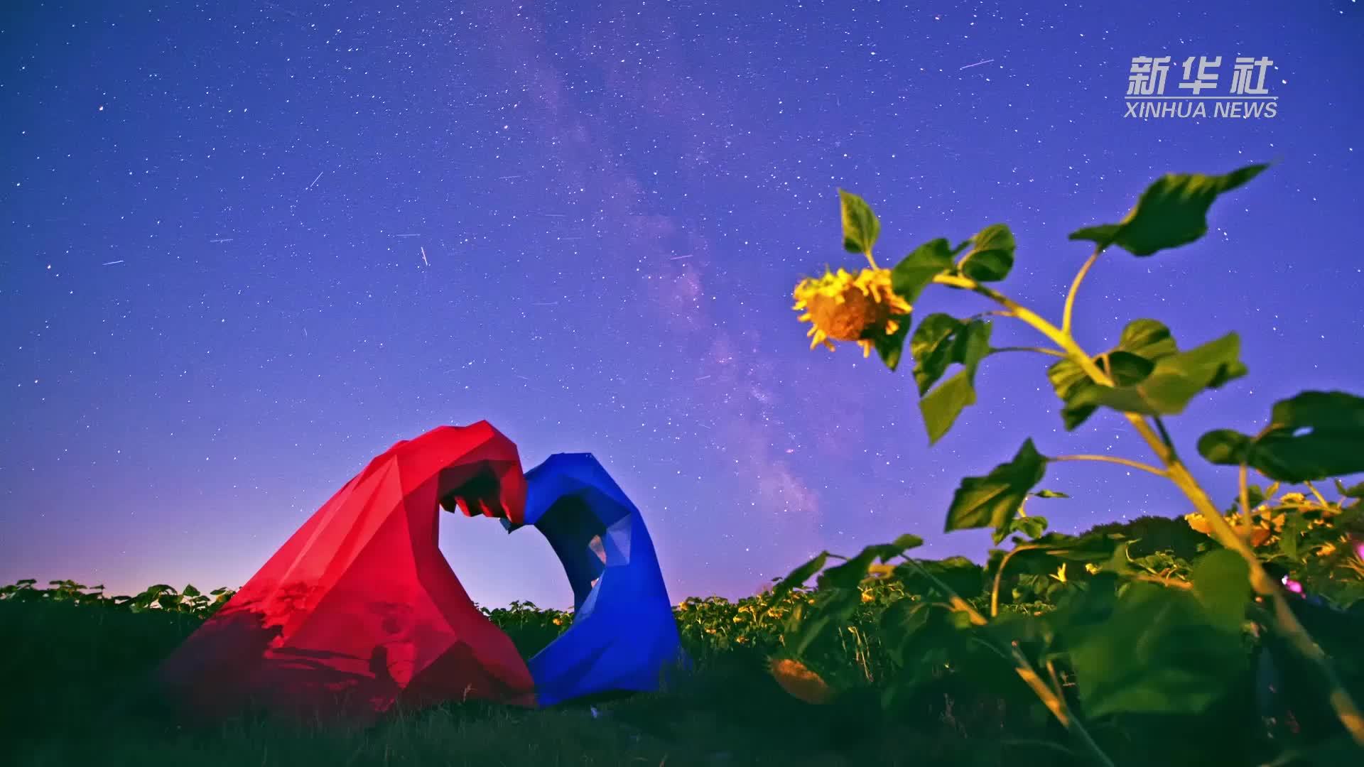 诗意中国丨烟霄微月澹长空 银汉秋期万古同