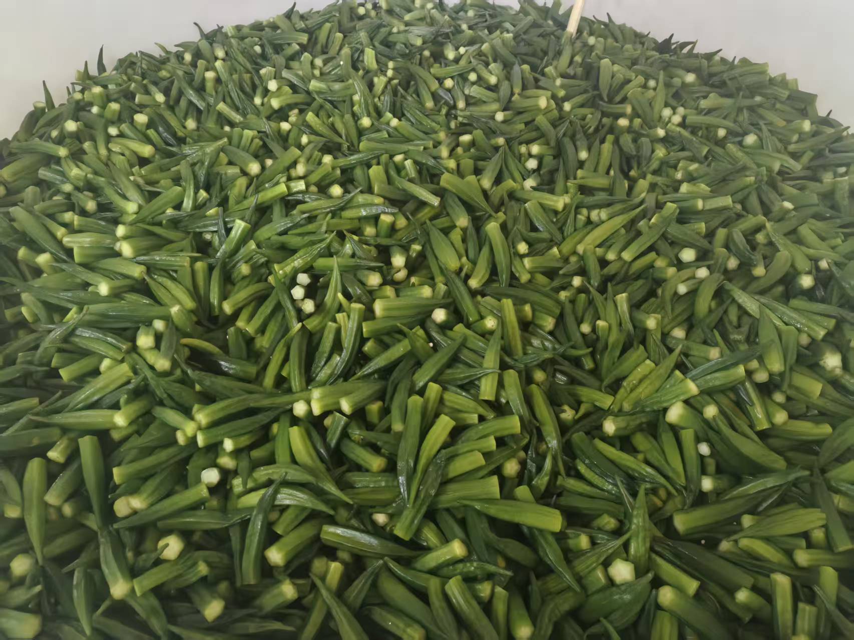 青岛乡里乡亲｜左旭君：以秋葵种植技艺绘就强村富民新图景