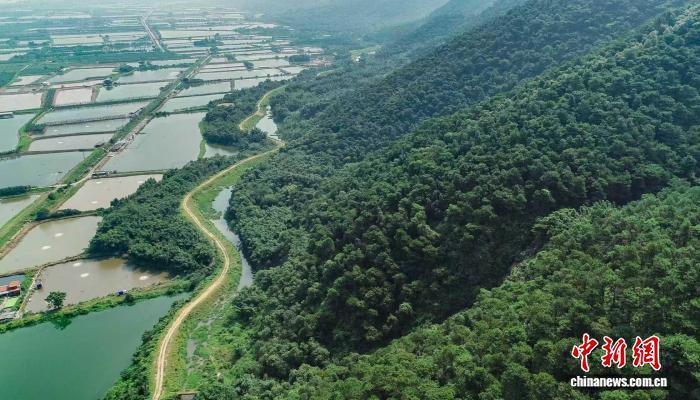 西江水鸟生态廊道。广东省林业局 供图