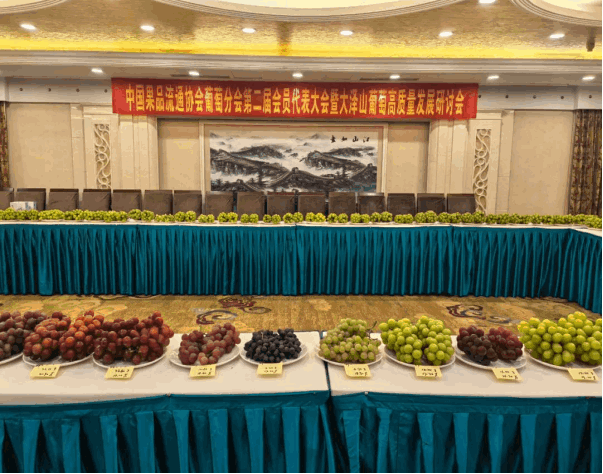 青岛乡里乡亲|“葡萄大王”昌云军:三十年“编织”甜蜜振兴路