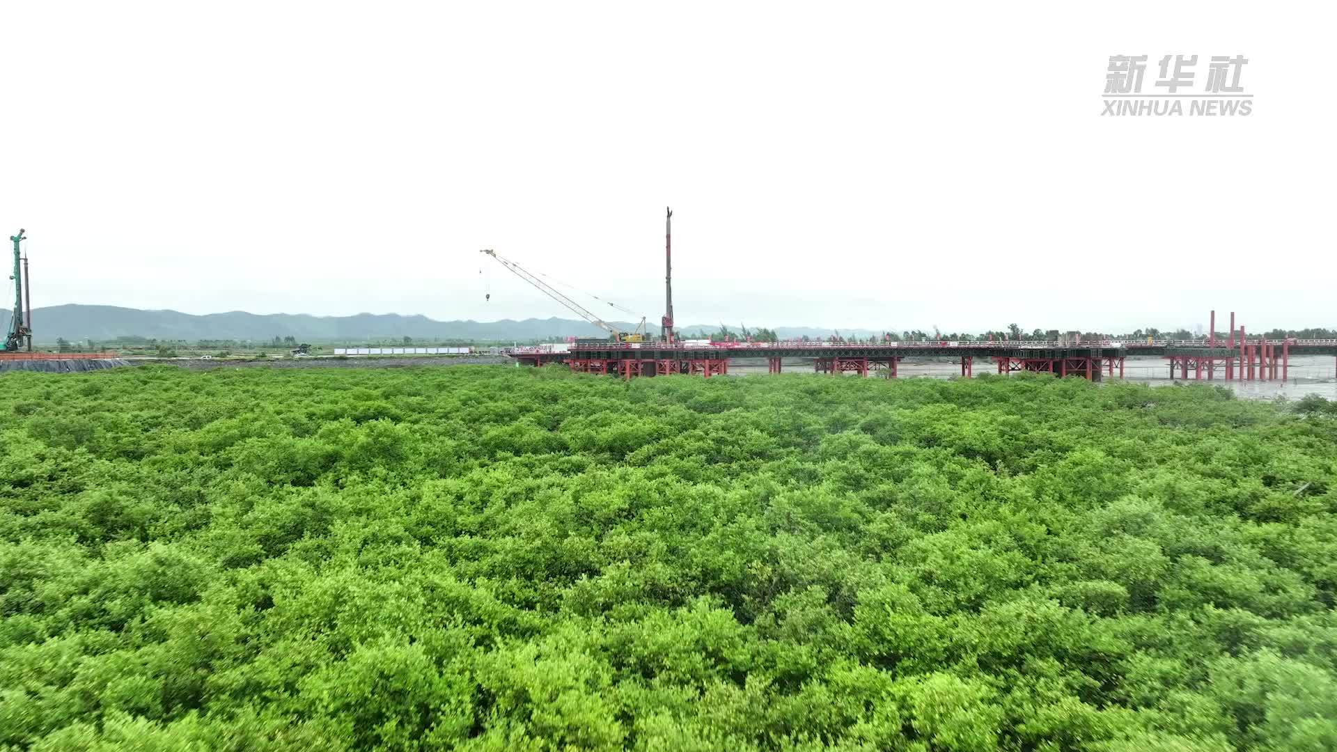 合湛高铁全线进入海上主体施工阶段