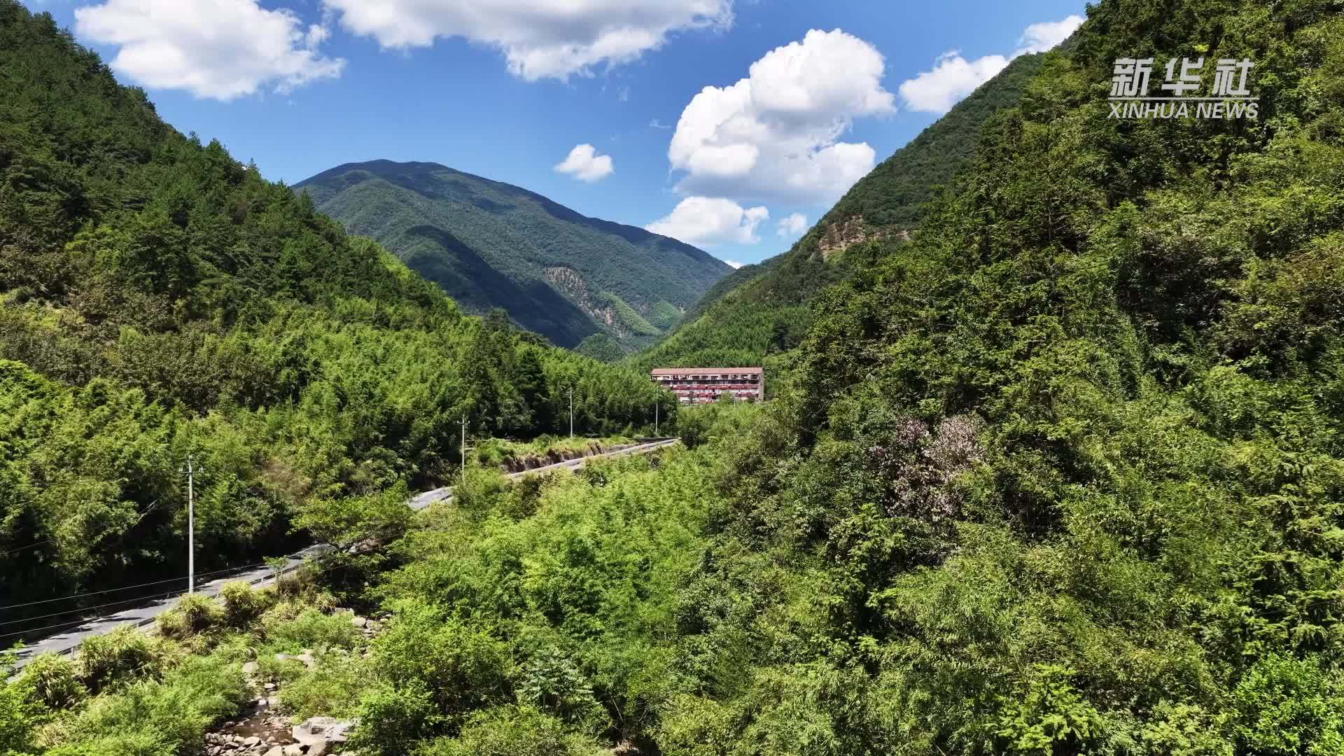 天目山下的溪水欢歌