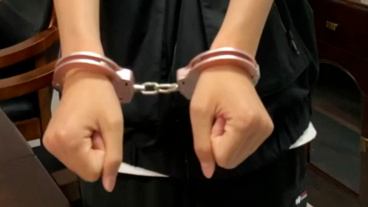 男子欠债谎称“特招”进高校诈骗超百万，获刑10年并处罚金10万元