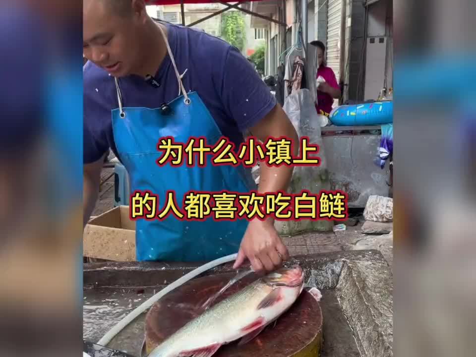 为什么小镇上的人都喜欢吃白鲢，卖鱼大哥一句话道出了真相