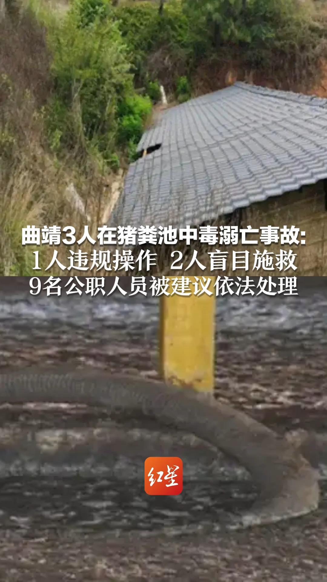 曲靖3人在猪粪池中毒溺亡 官方调查报告：1人违规操作 2人盲目施救 9名公职人员被建议依法处理