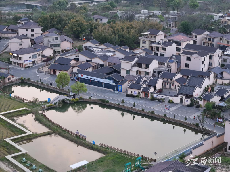 ▲渡江镇莲塘村黄花湾风景航拍(来源:江西新闻客户端)