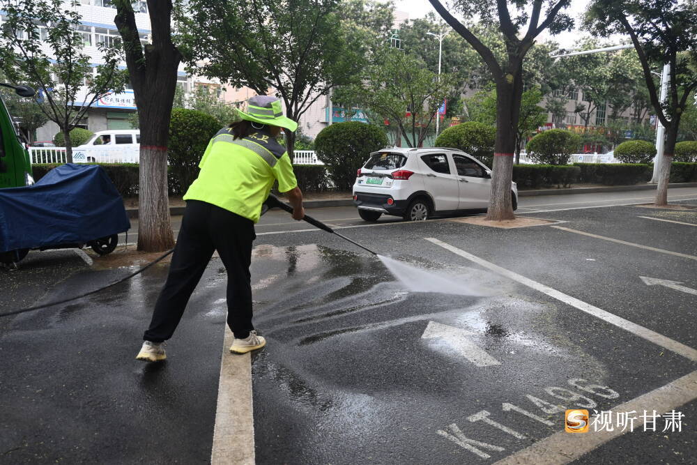 一阵“槐花雨”飘落　甘肃崆峒“美容师”忙起来了