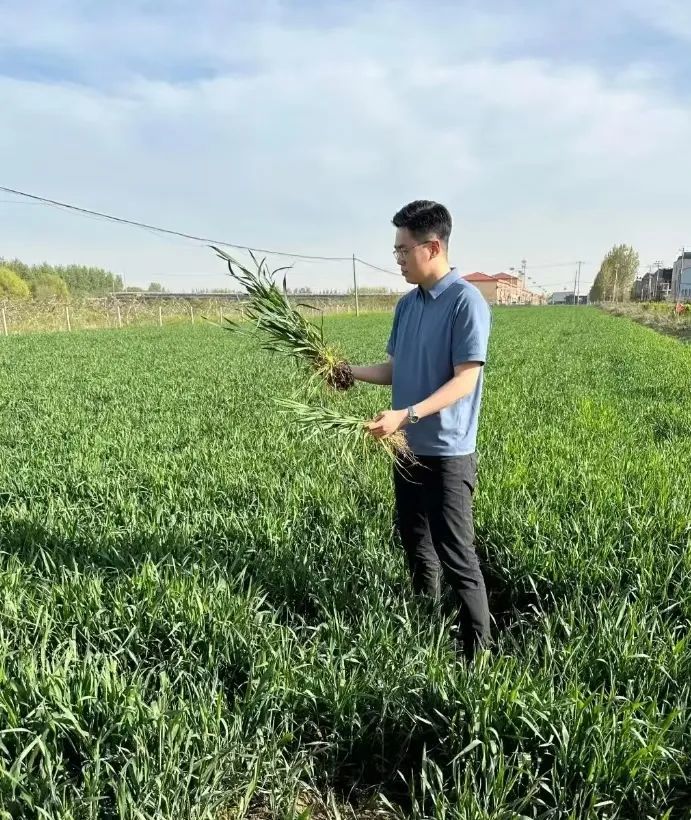 青岛乡里乡亲｜李环宇：以科技赋能解算兴农“方程式”