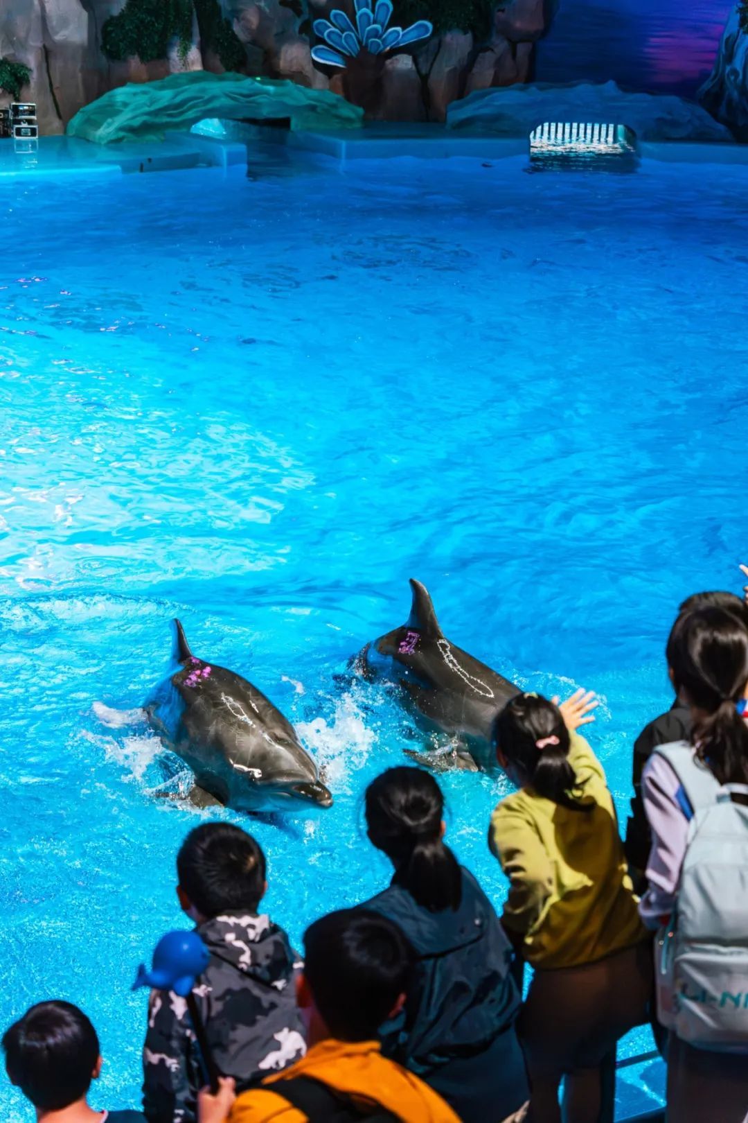 湘江欢乐海洋公园鲸秀剧场2.jpg