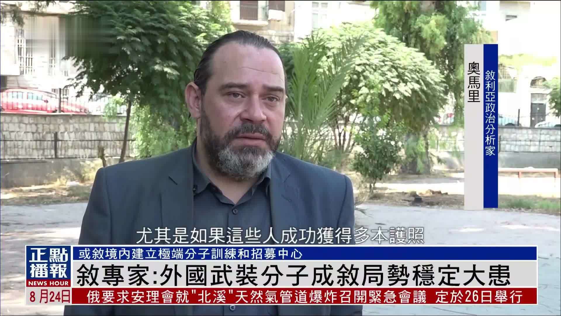 叙利亚专家：外国武装分子成叙局势稳定大患