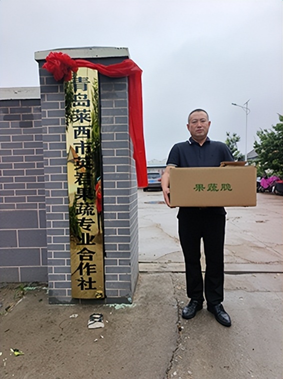 青岛乡里乡亲｜左旭君：以秋葵种植技艺绘就强村富民新图景