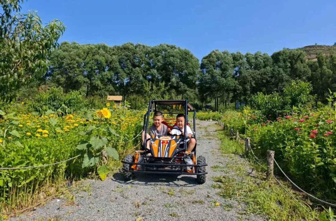 华亭避暑新玩法:开着卡丁车奔向花海的快乐谁懂啊