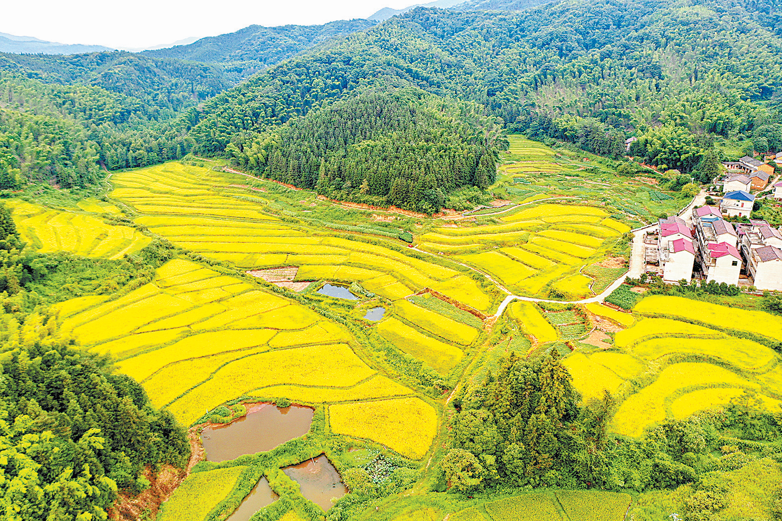 金溪縣：生態山村 秋景如畫（圖）