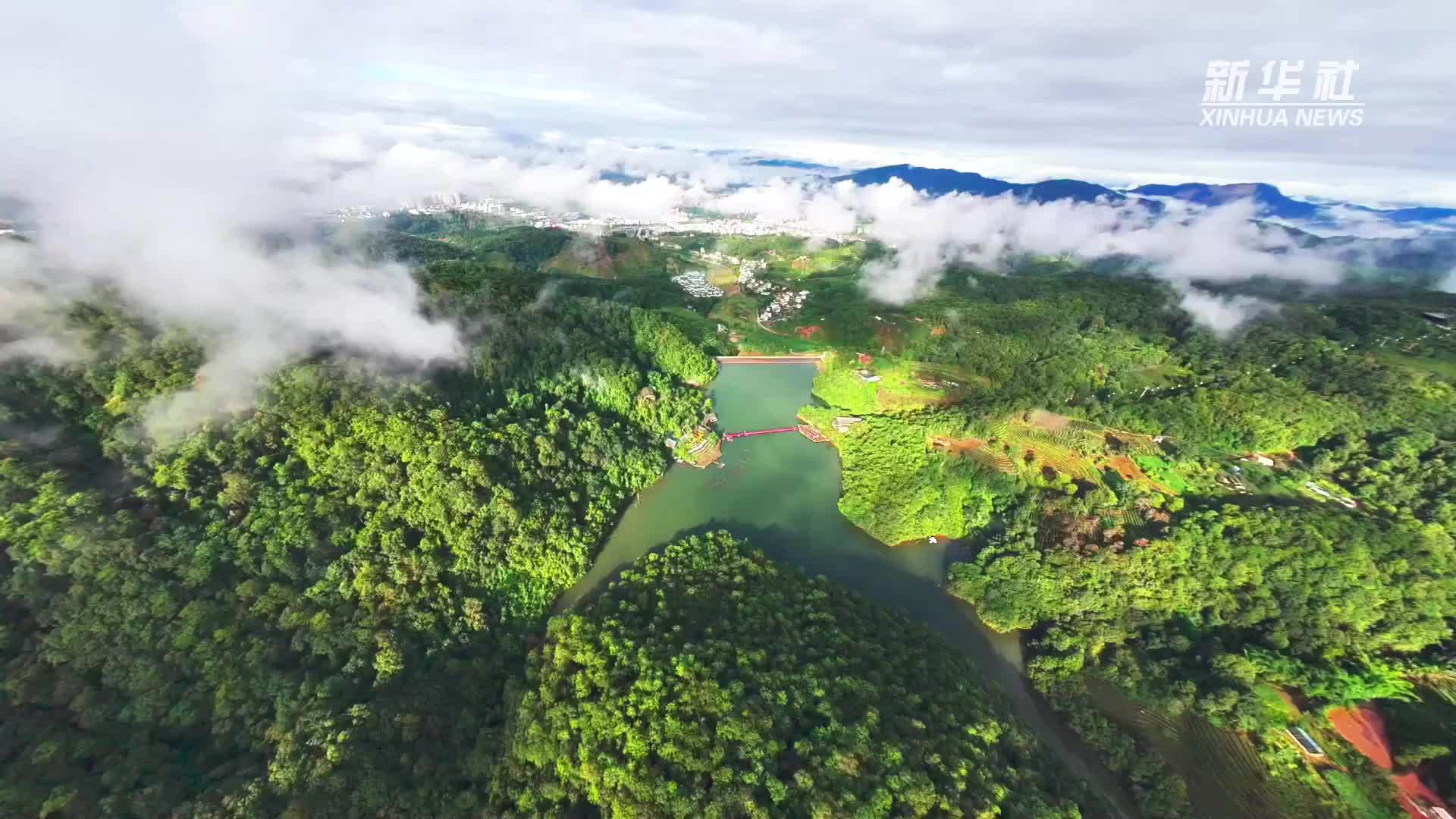 云南普洱：千年茶马古道话七夕