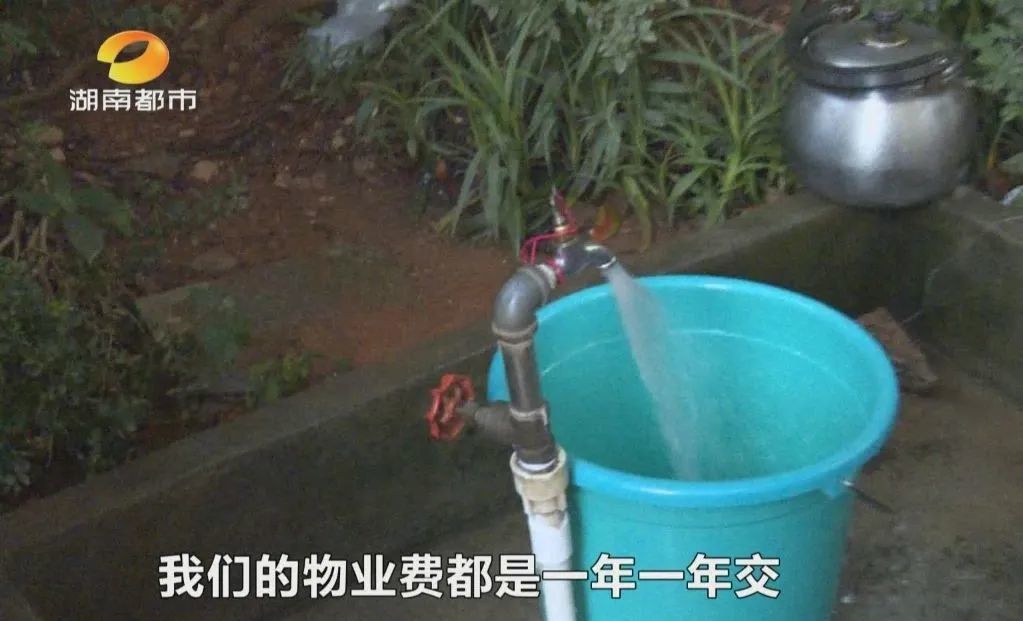 长沙两小区深陷“爆管停水”困局业主疾呼水改提速(图4)