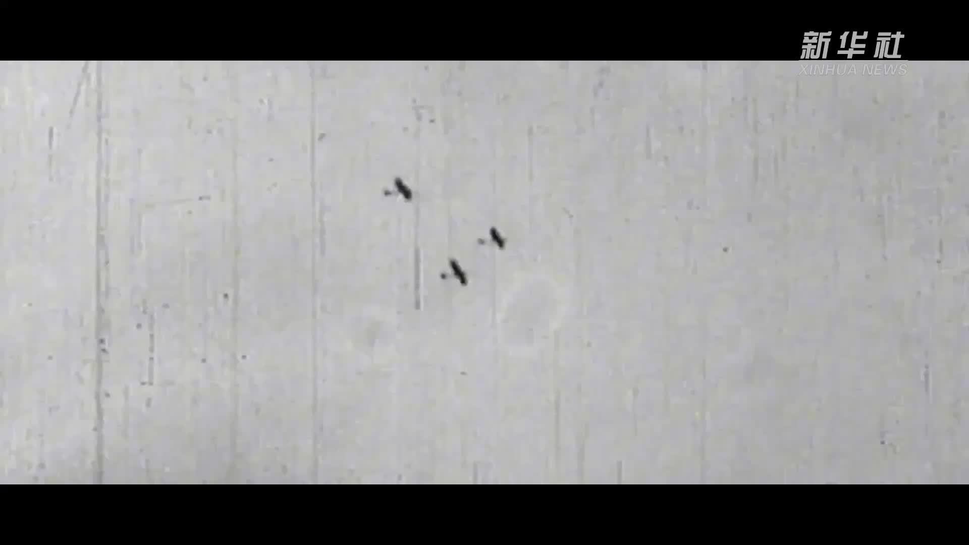 微视频｜伟大胜利