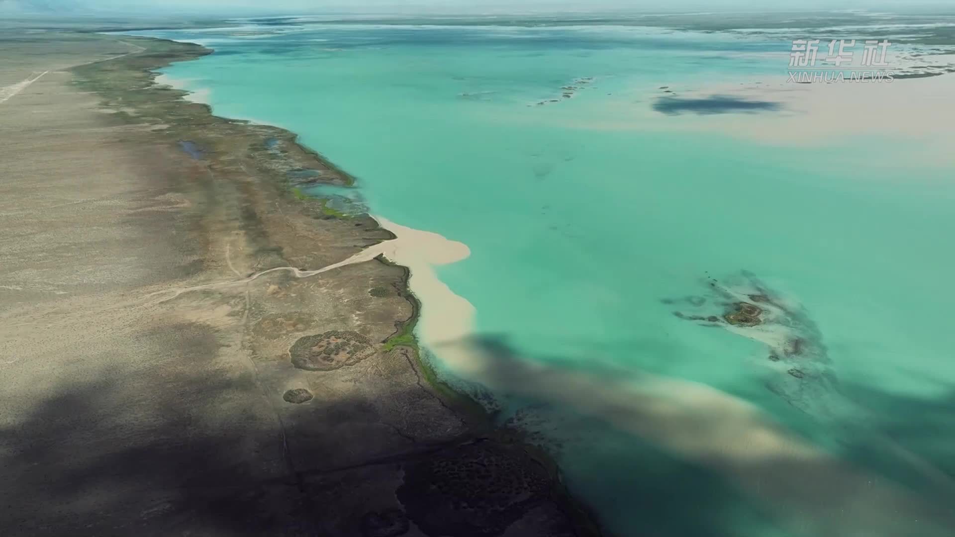 新疆阿尔金山：高原秘境群鸟集结