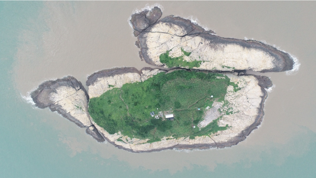 中華鳳頭燕鷗繁殖地——象山中鐵墩嶼