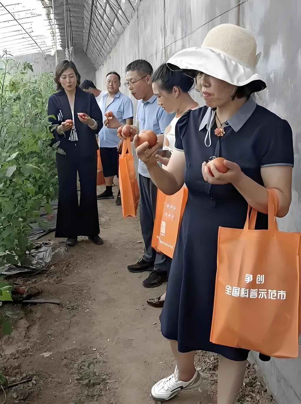 青岛乡里乡亲|田埂上的直播间:李春花的“胶白”出村记