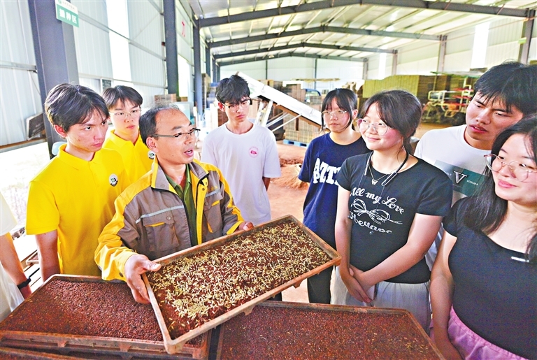 萍鄉市湘東中等專業學校的學生們在育秧大棚里，傾聽戴中華講解如何智慧育秧。