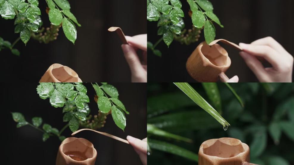 白露丨古人喝“水”有啥讲究　情绪价值拉满了