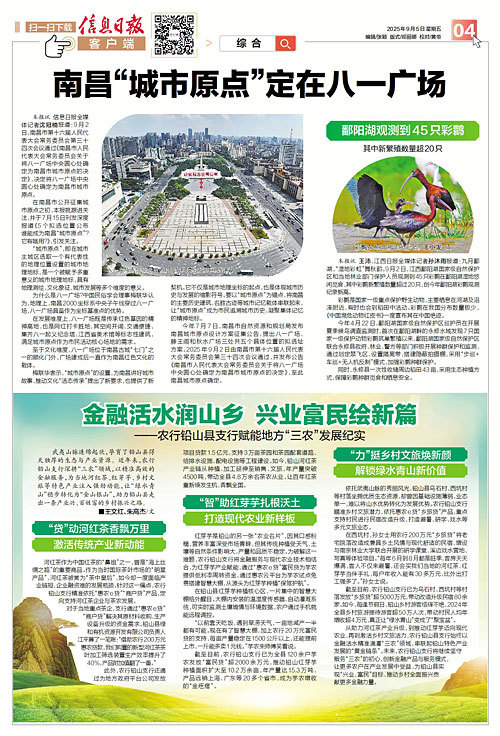鄱陽湖觀測到45只彩鹮 其中新繁殖數(shù)量超20只（圖）