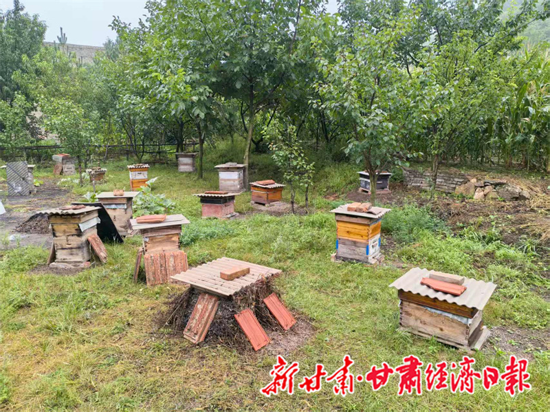 蜂农马长生的深山养蜂场