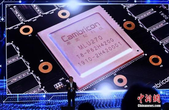 陈天石作项目推荐。 中新社记者 张茵 摄