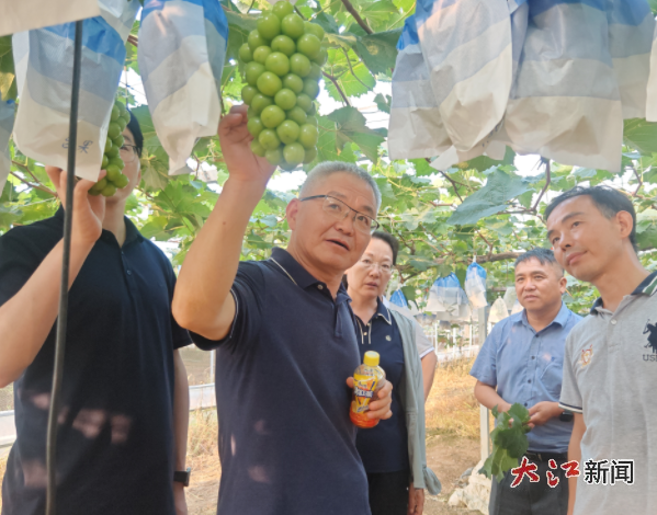 江西省農(nóng)業(yè)技術(shù)推廣中心供圖