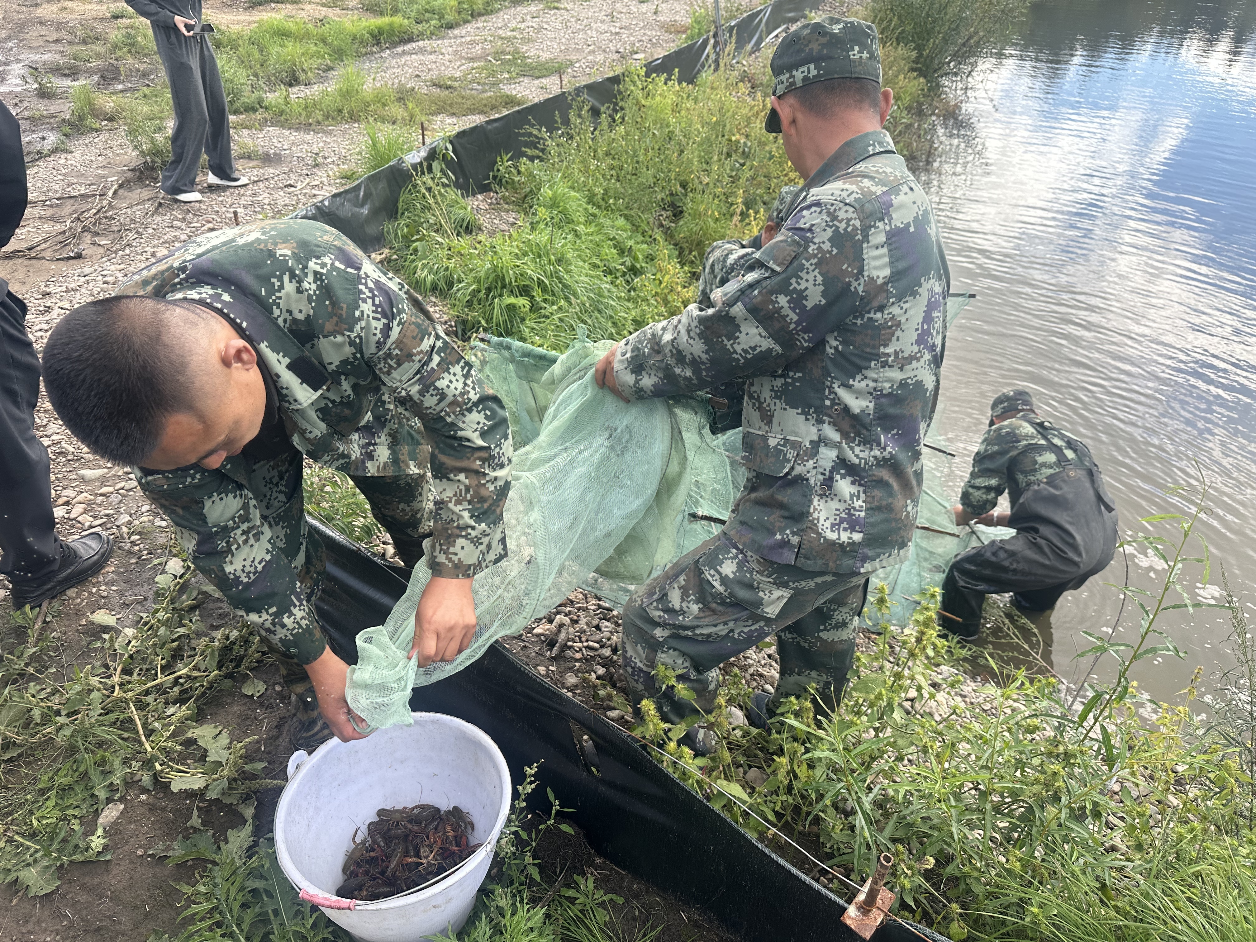 捕捞小龙虾
