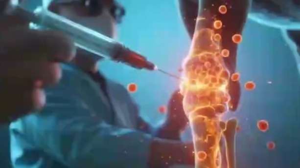 动物领域的干细胞移植疗法，未来有望让骨折患者重新愈合？