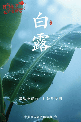 节气里的大美西安 | 今日白露 长安知秋风送爽