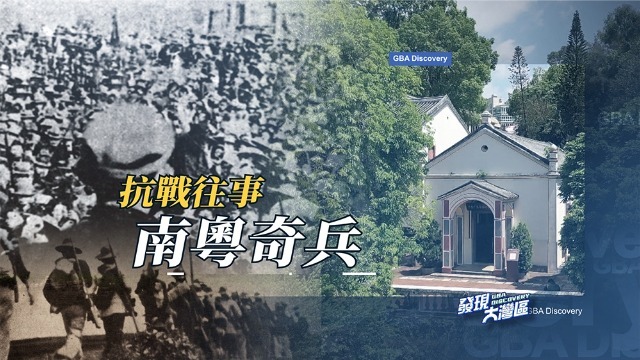 抗战往事——南粤奇兵