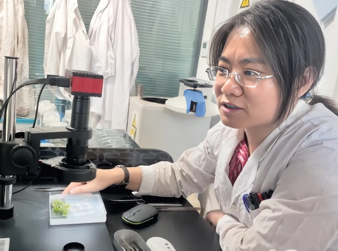 兰州大学生态学院张凤教授