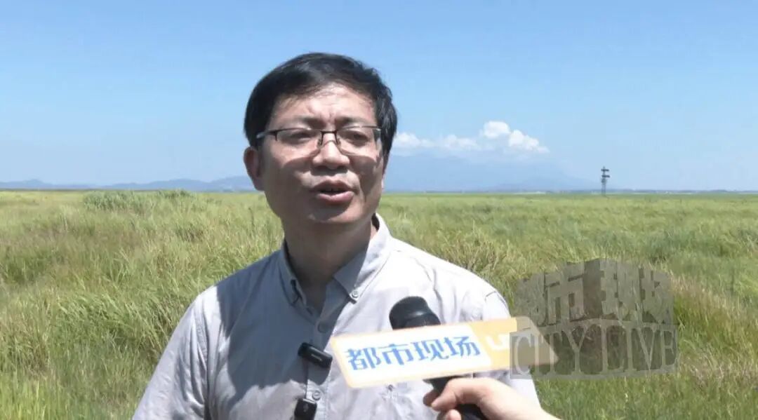 鄱陽湖正式進入枯水期 較常年平均提前87天