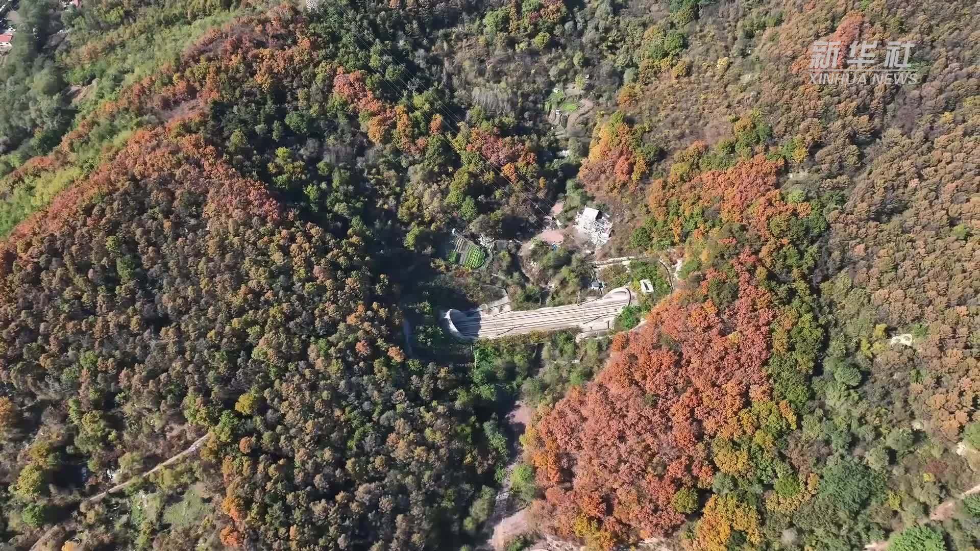沈丹高铁十年运送旅客1.2亿人次 助力辽宁区域协同发展
