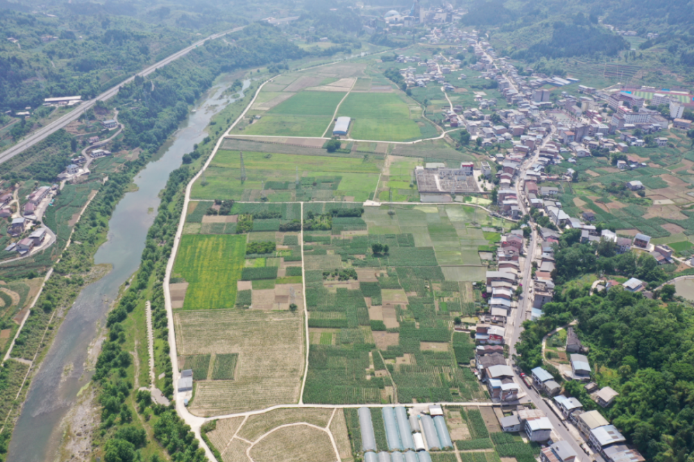 ▲开州县坝遗址。 受访单位供图