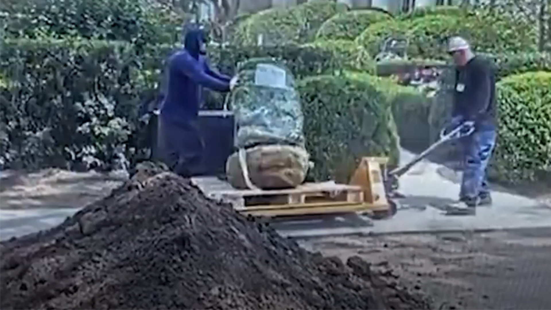 第一次见总统大号挂素人！特朗普发监控视频，曝光建筑工人破坏白宫“最美丽的大理石”