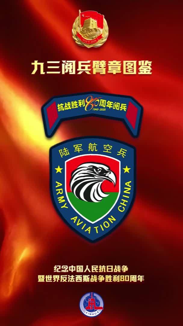 请收藏！九三阅兵臂章图鉴