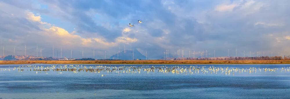 想近距离围观这场盛宴?