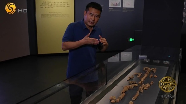 从殷墟亚长墓出土文物，看3000多年前商王朝的繁华盛景