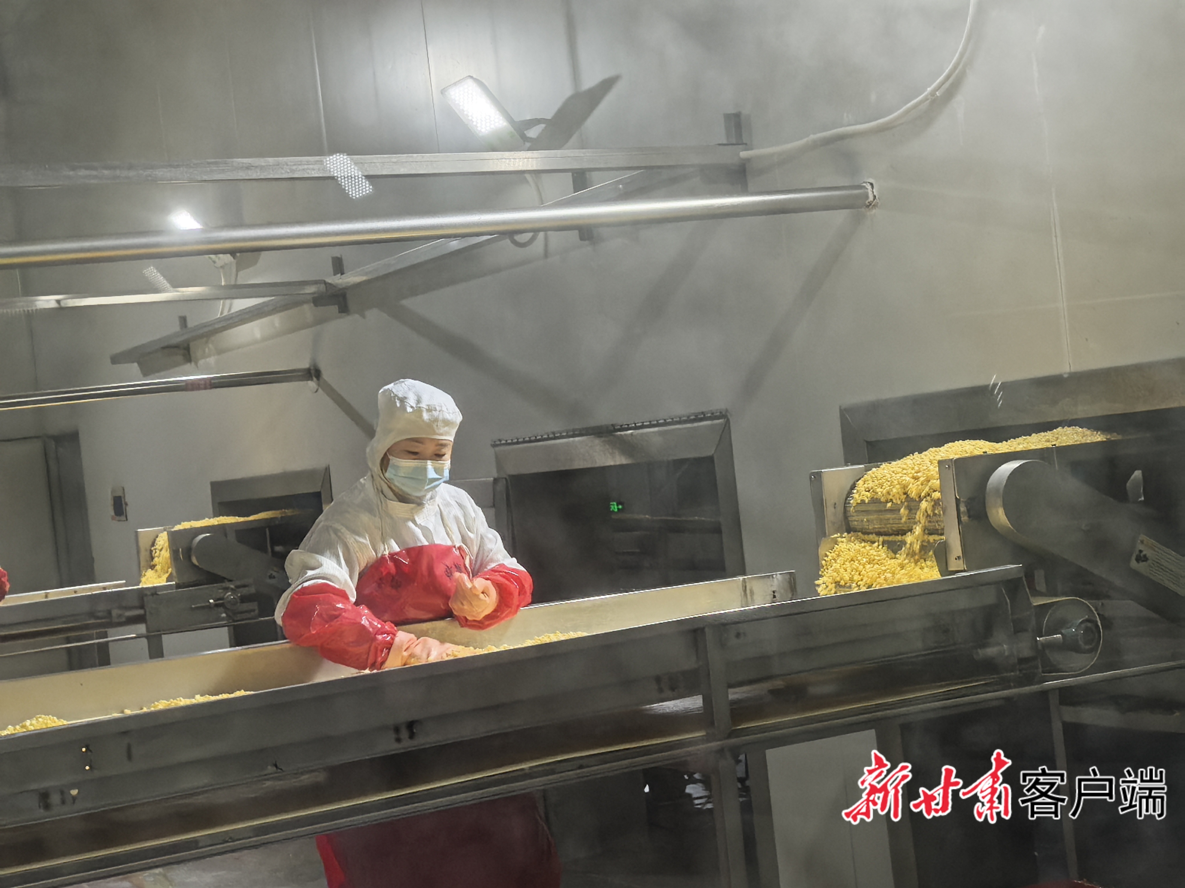 黄羊河农场车间的速冻玉米生产线加工玉米粒