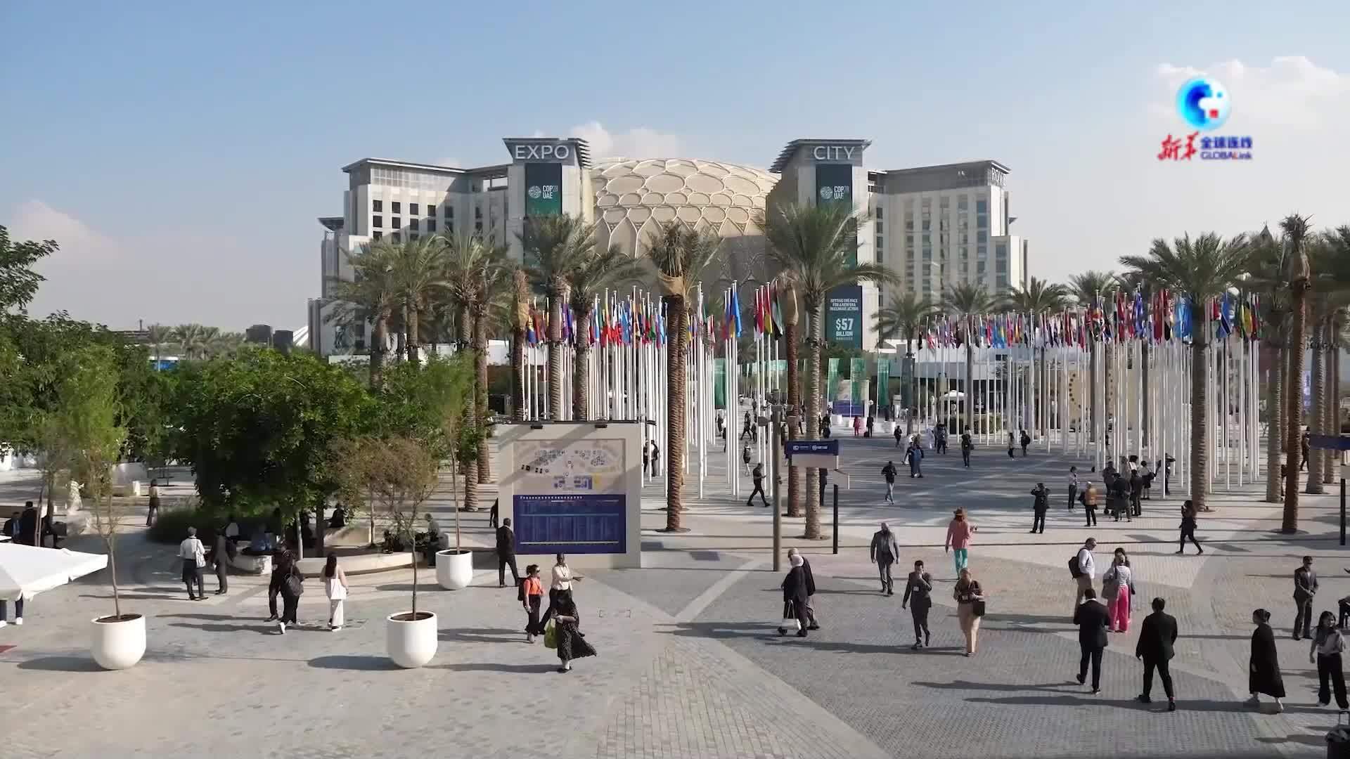 全球连线丨36小时“鲜达”迪拜 “宁字号”蔬菜受追“烹”