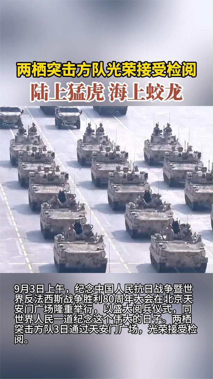两栖突击方队光荣接受检阅 陆上猛虎 海上蛟龙