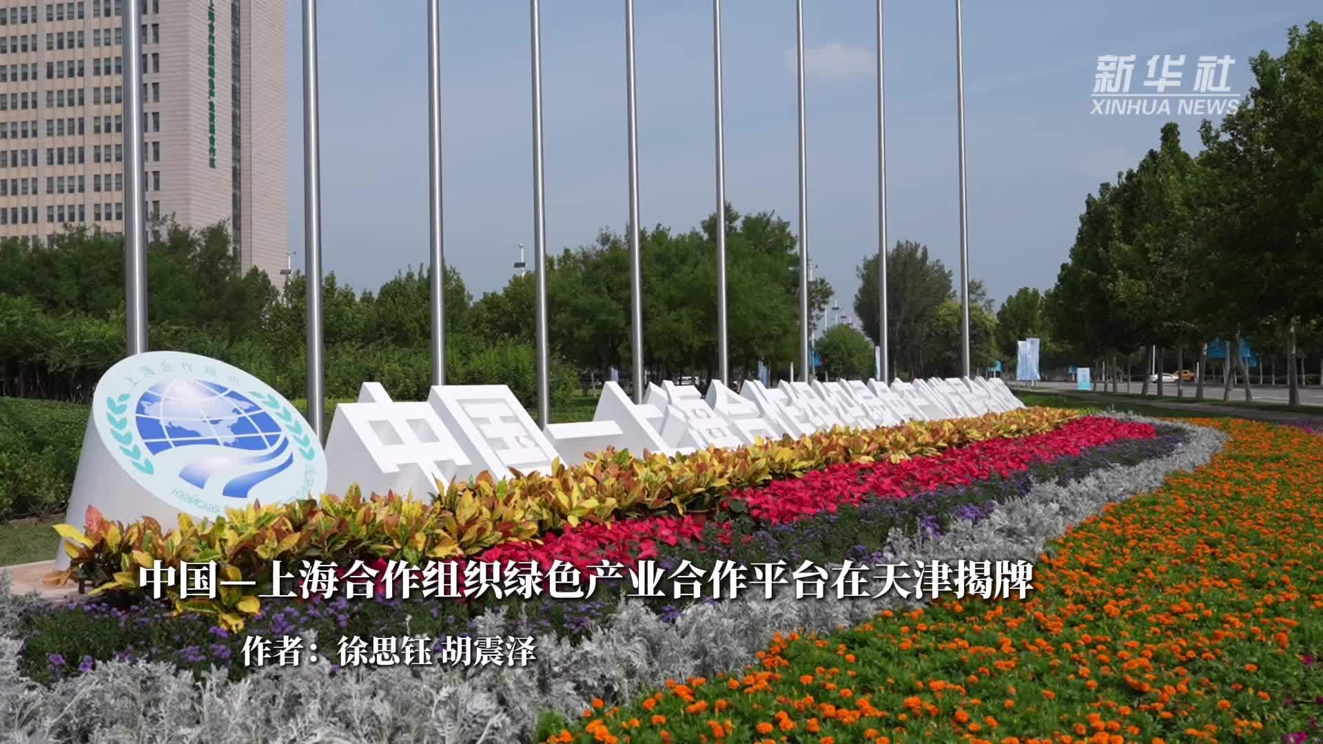 中国—上海合作组织绿色产业合作平台在天津揭牌