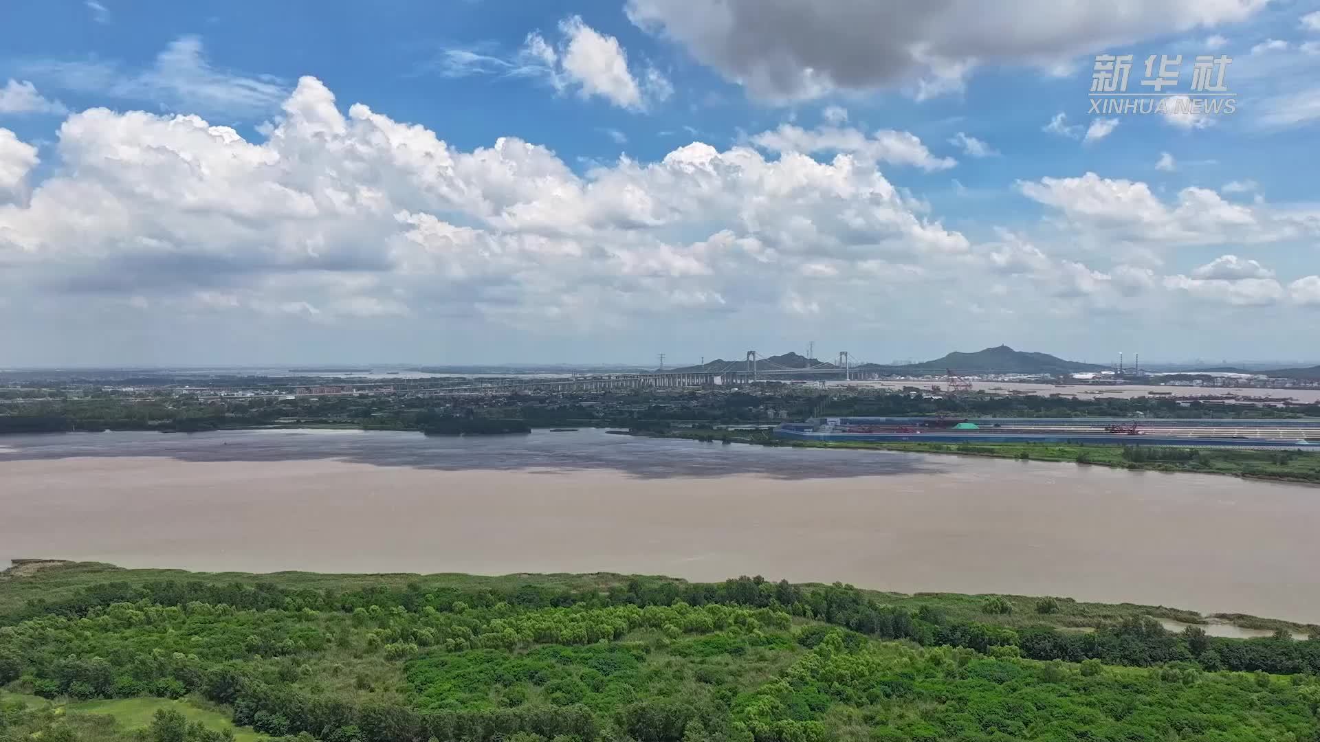 江苏镇江高桥江豚湾：守护一江碧水 留住“长江微笑”