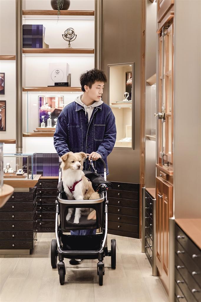 市民用宠物推车推着犬只在万象城逛街(万象城供图)