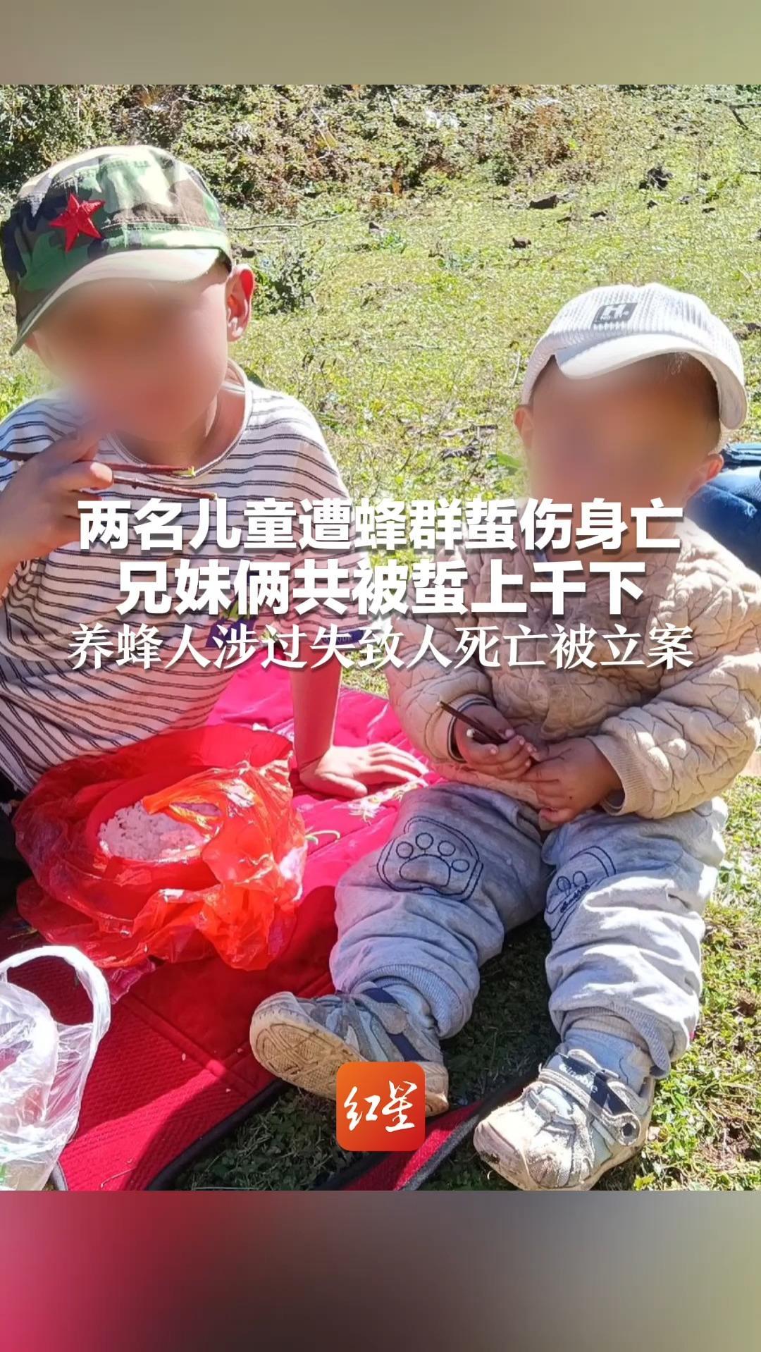 两名儿童遭蜂群蜇伤身亡 哥哥被蜇300多下 妹妹被蜇700多下 养蜂人涉过失致人死亡被立案