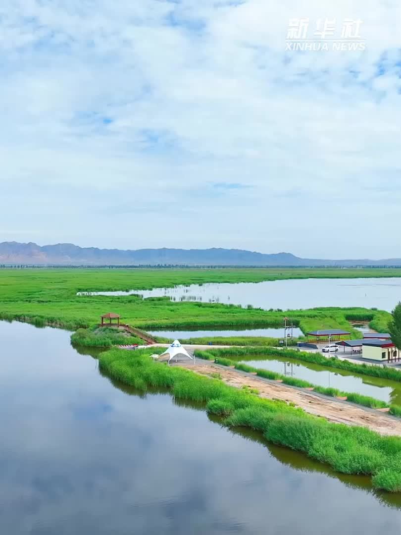内蒙古乌拉特：草原湿地牧羊海 水草丰美景色新